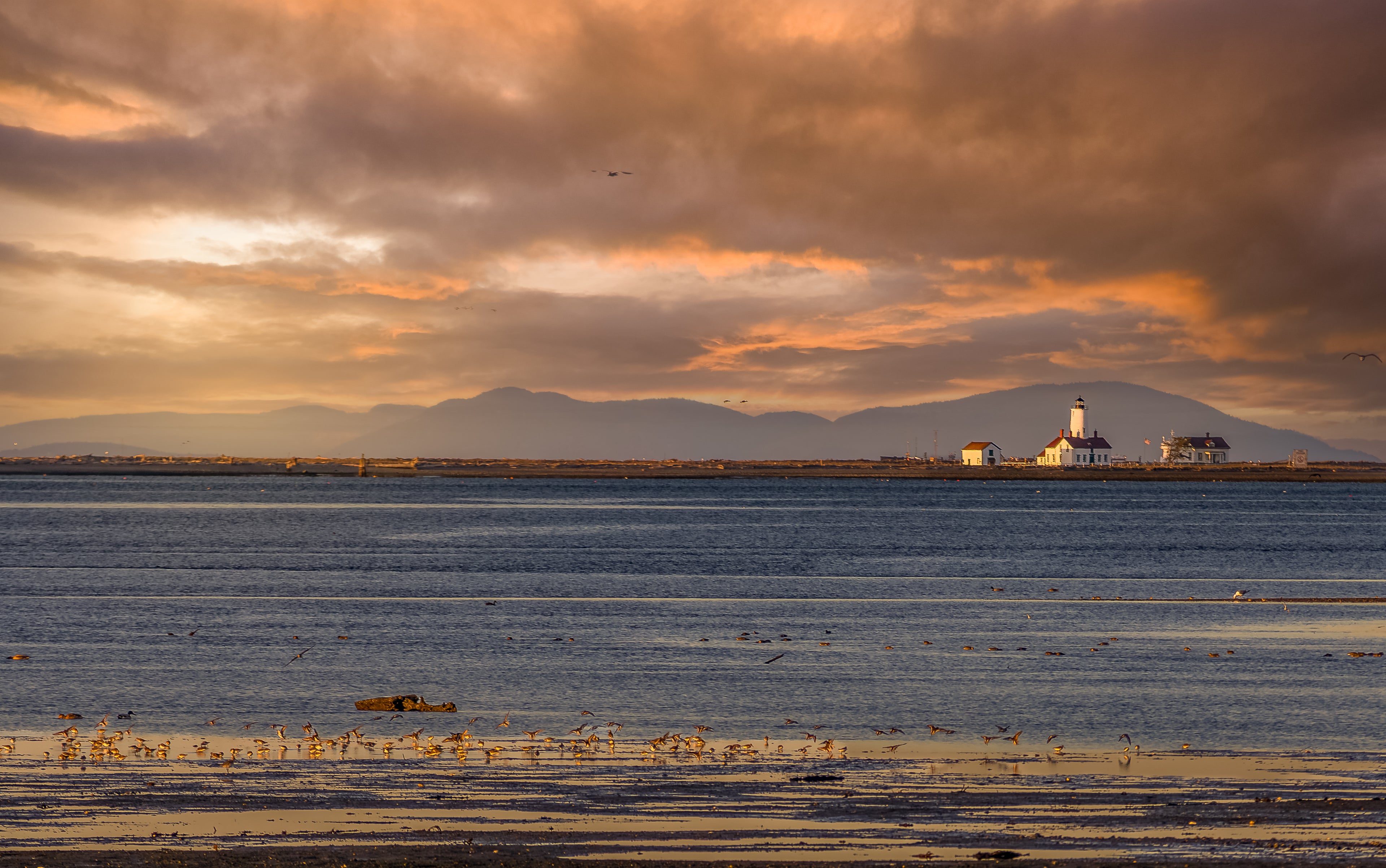 Dungeness Glow