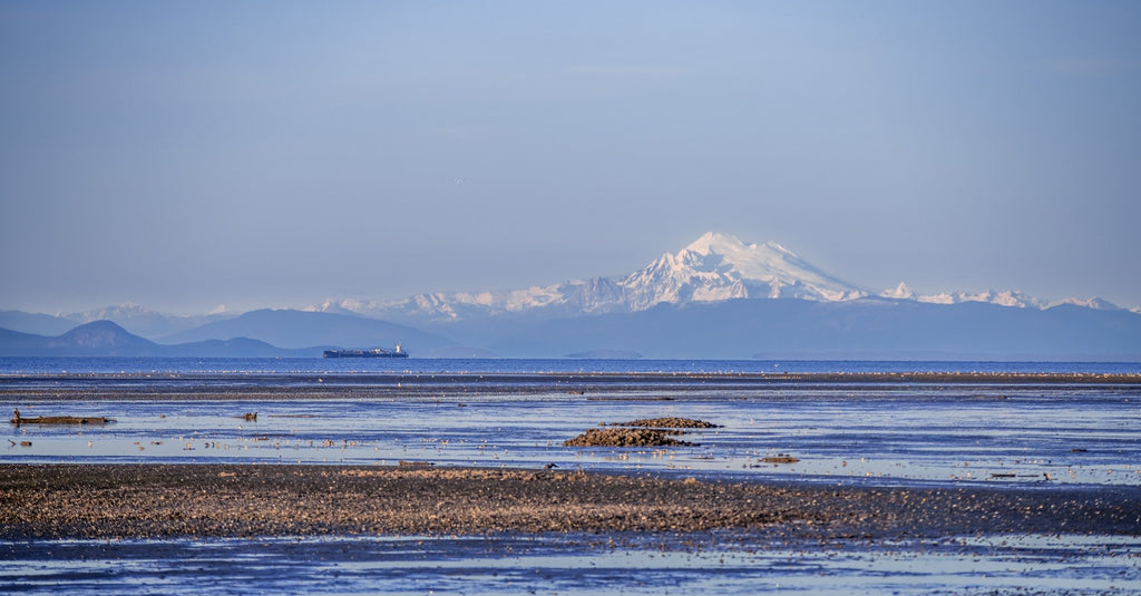 Mount Baker Across the Strait