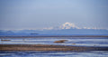 Mount Baker Across the Strait